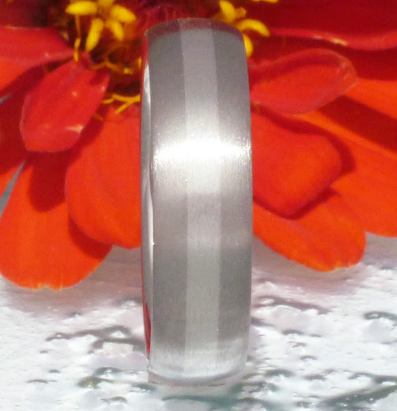 titanium wedding ring with platinum inlay p3 Titanium Wedding and Engagement Rings